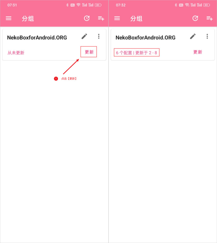 NekoBox for Android 更新分组